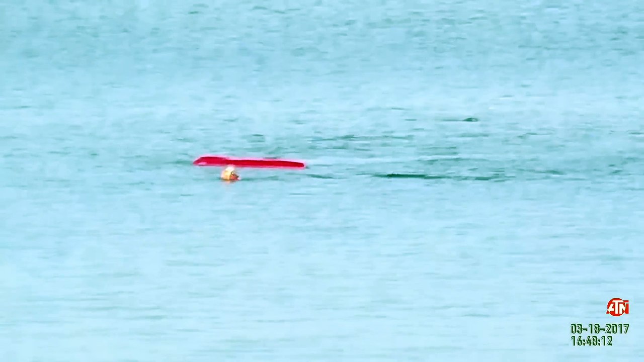 Tranquille sur son kayak, il se fait attaquer par un requin blanc
