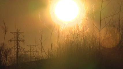 State of emergency declared for Louisiana's coastal land