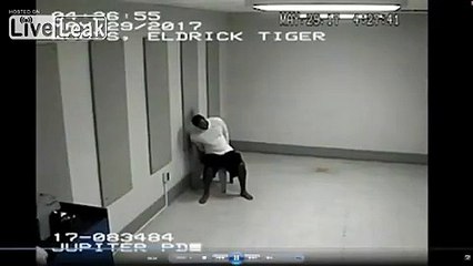 El nuevo examen que quemo Tiger Woods arrestado en la policia
