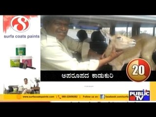 Public News | Speed News | May 4th, 2017 | 4:30 PM