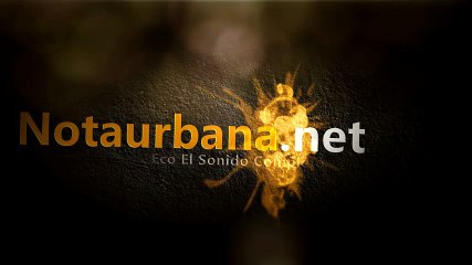 Divulgan video del arresto de Tiger Woods