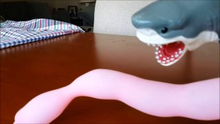 Shark toy plays attacks