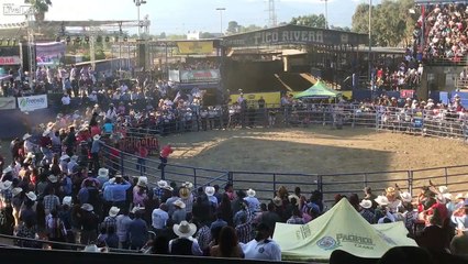 Người đàn ông cưỡi bò tót bị quật ngã bay qua hàng rào