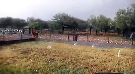 Caen Granizos de tamaño de pelota de baseball en Mexico