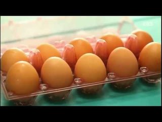 Why - 최고다! 호기심딱지 - 달걀의 비밀