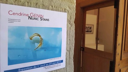 Cendrine GENIN expose à la galerie l'Antichambre (Chambéry)