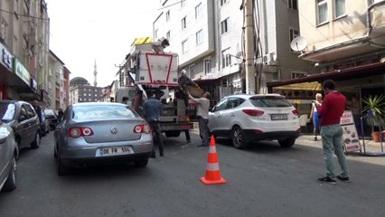 Sokağı arılar bastı