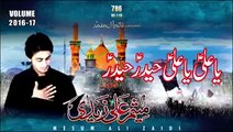 Syed Mesum Ali Zaidi | Ya Ali Ya Ali Haider Haider (as).