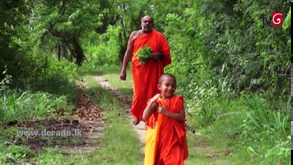 Sidu   215 02nd June 2017