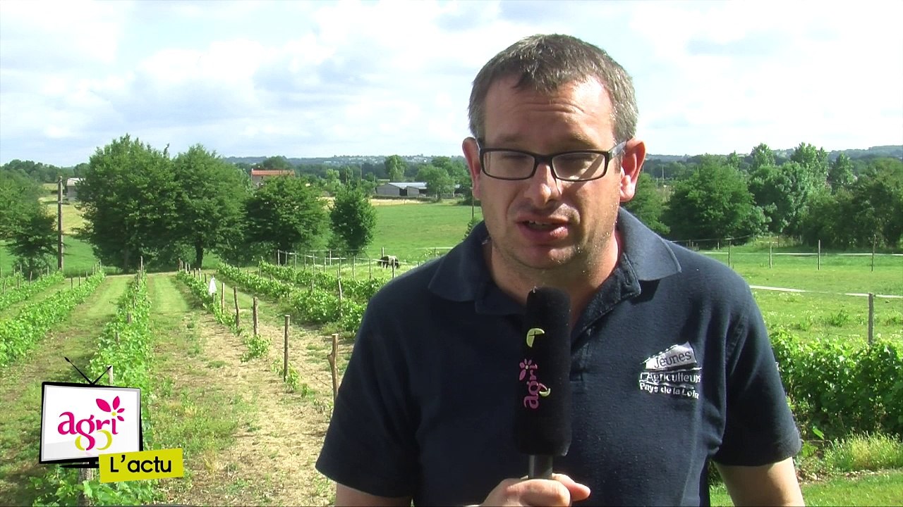 JT Agri85 TV du vendredi 2 juin 2017