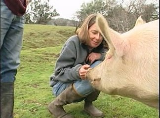 Documentary Film - The Emotional World of Farm Animals