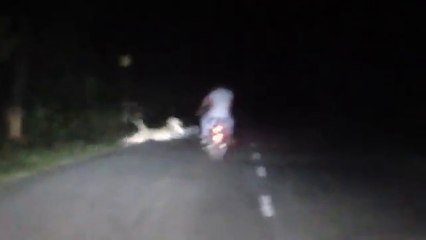 Leopard attacks on biker