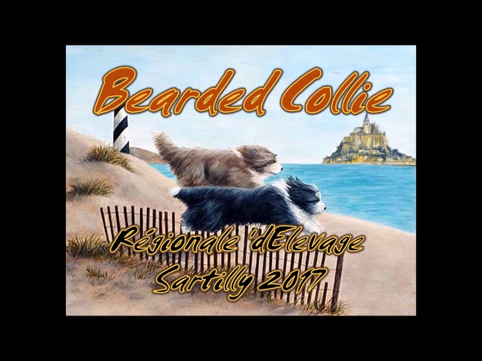 Régionale d'Elevage Bearded Collie 2017