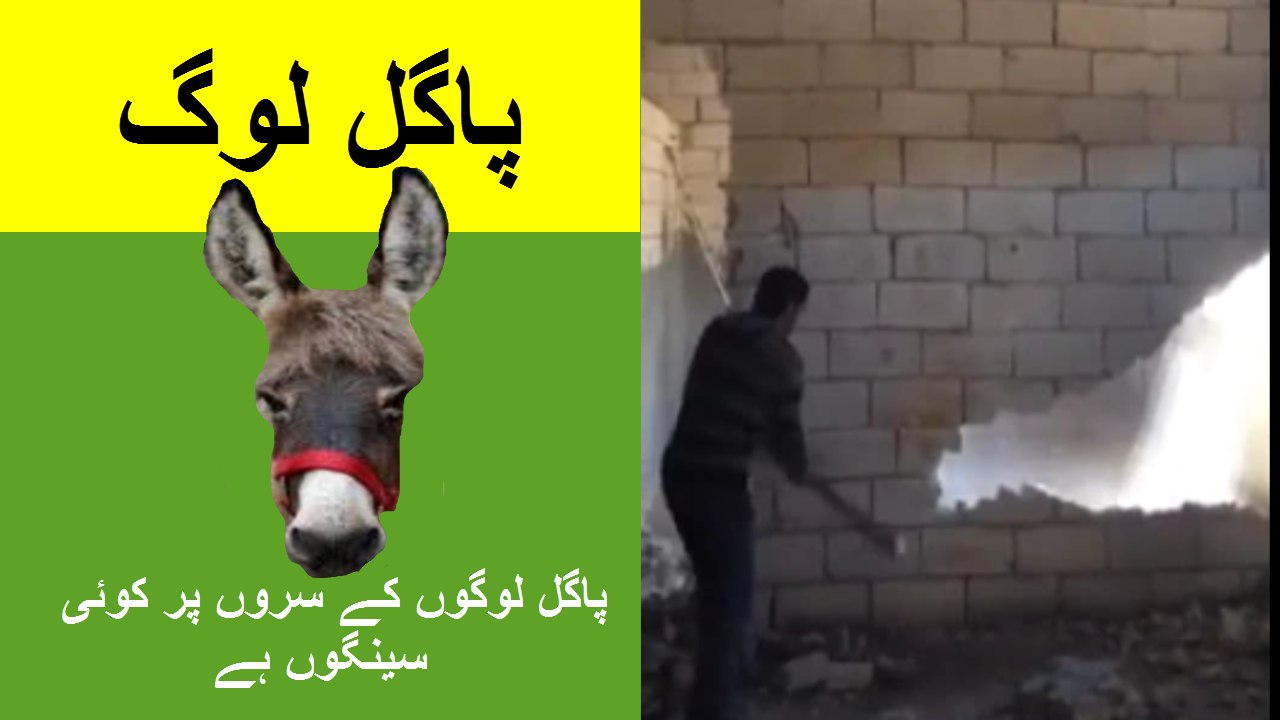 پاگل لوگوں کے سروں پر کوئی سینگوں ہے