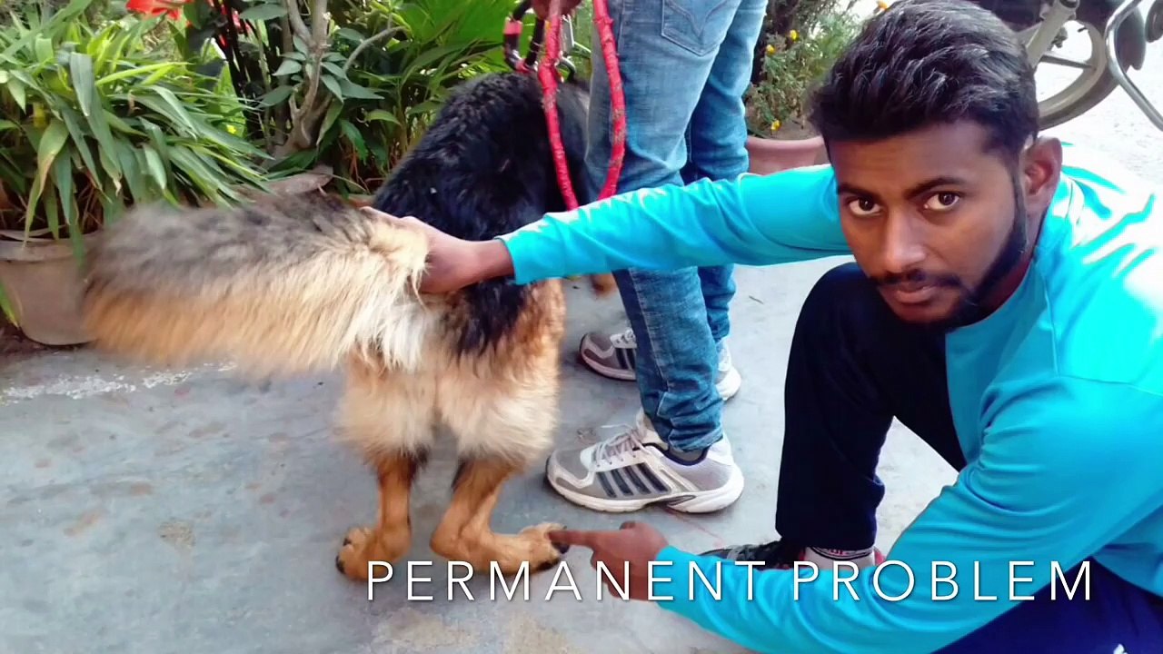 Solve Dog Legs Bend Prm 100 with Proof Video Dailymotion