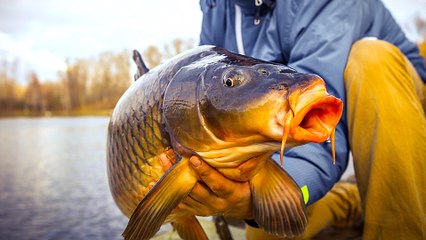 Fishing Just Got Easier: 3 High-Tech Gadgets