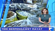 Teri Berpengawet Mayat Beredar di Pasaran