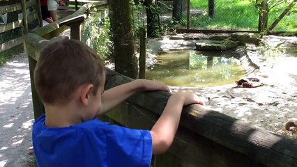 VLOG - Animaux Rigolos à la Mini Ferme de WALIBI