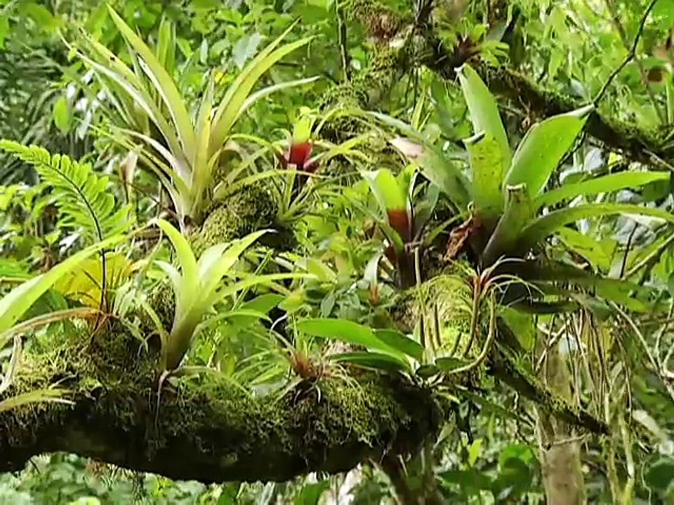 Aventura Ecuador - Pasaje