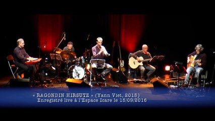 RAGONDIN HIRSUTE (Yann Viet Free Songs Project)