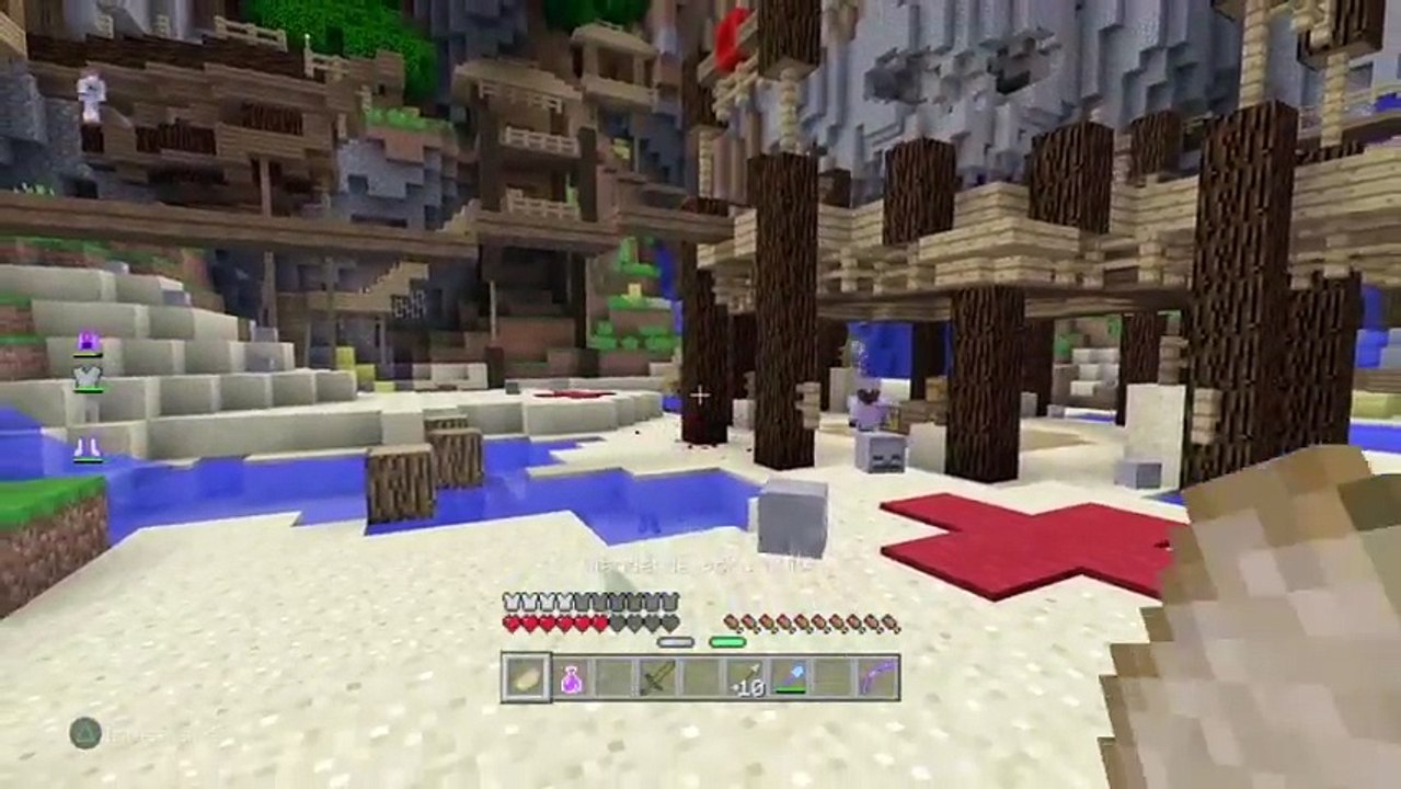 DU PVP (15)