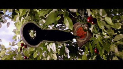 ON THE MILKY ROAD Bande annonce (Monica Bellucci - 2017)