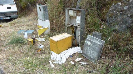 02/06/17 Capture de la colonie "Confina"