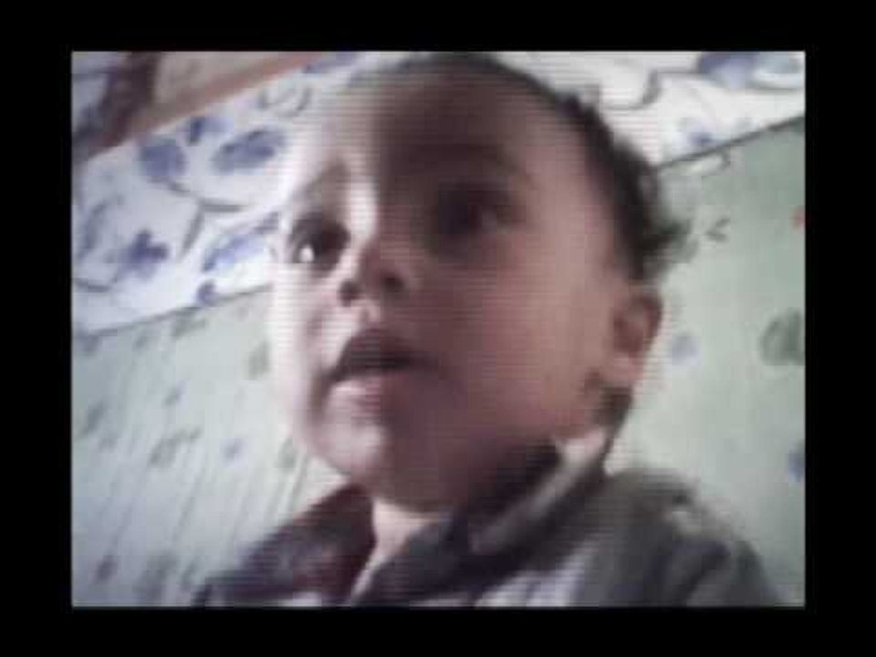 الشيخ امير 2