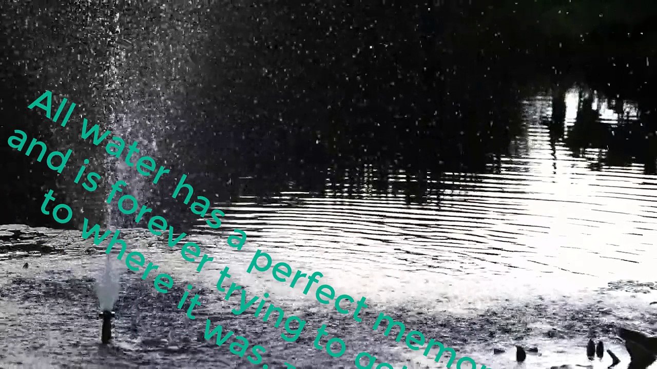 Water's Memory
