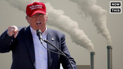 Celebs React To Trump Leaving Paris Climate Deal