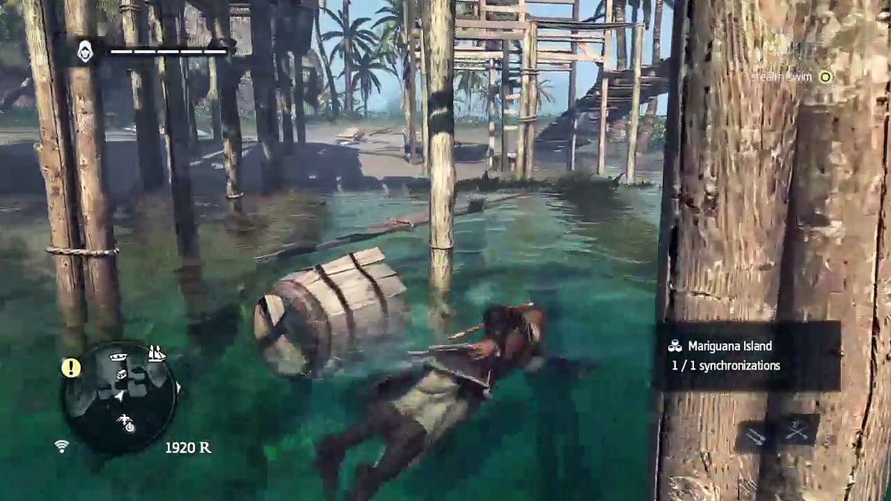 AC Black Flag (217)