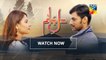 Dil e Jaanam Episode 14 Full 2 June 2017 Hum TV Drama