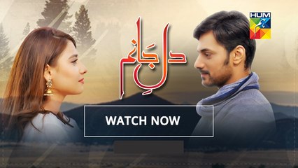 Dil e Jaanam Episode 14 Full 2 June 2017 Hum TV Drama