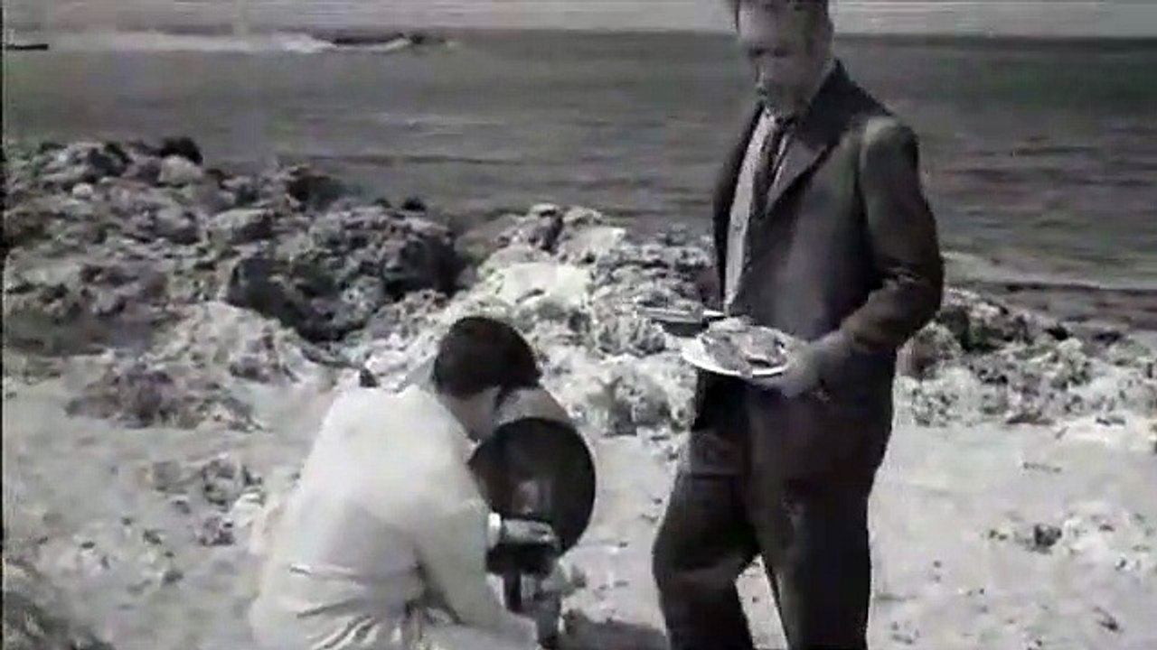 Zorba ou la capacité de toujours rebondir! Lire Alexis Zorba de Kazantzakis, ça marque!