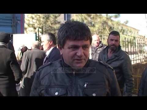 Kompensimi për dermatozën, lopë nga Danimarka në Kukës - Top Channel Albania - News - Lajme