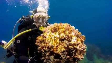 El Hierro Mayo 2017 (2ª Parte)