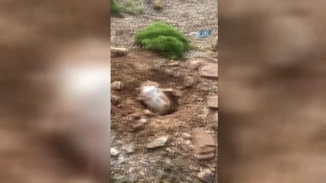 Jandarma Özel Harekat Komandolarından Yüksekova Dağlarında Başarılı Operasyon