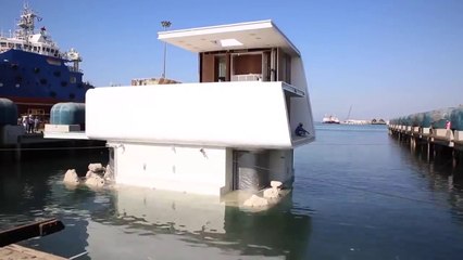 The Floating Seahorse Installation