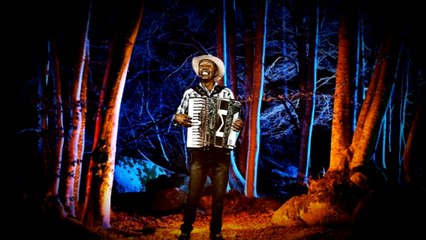 O NEGÃO DA SANFONA PARTE (10)