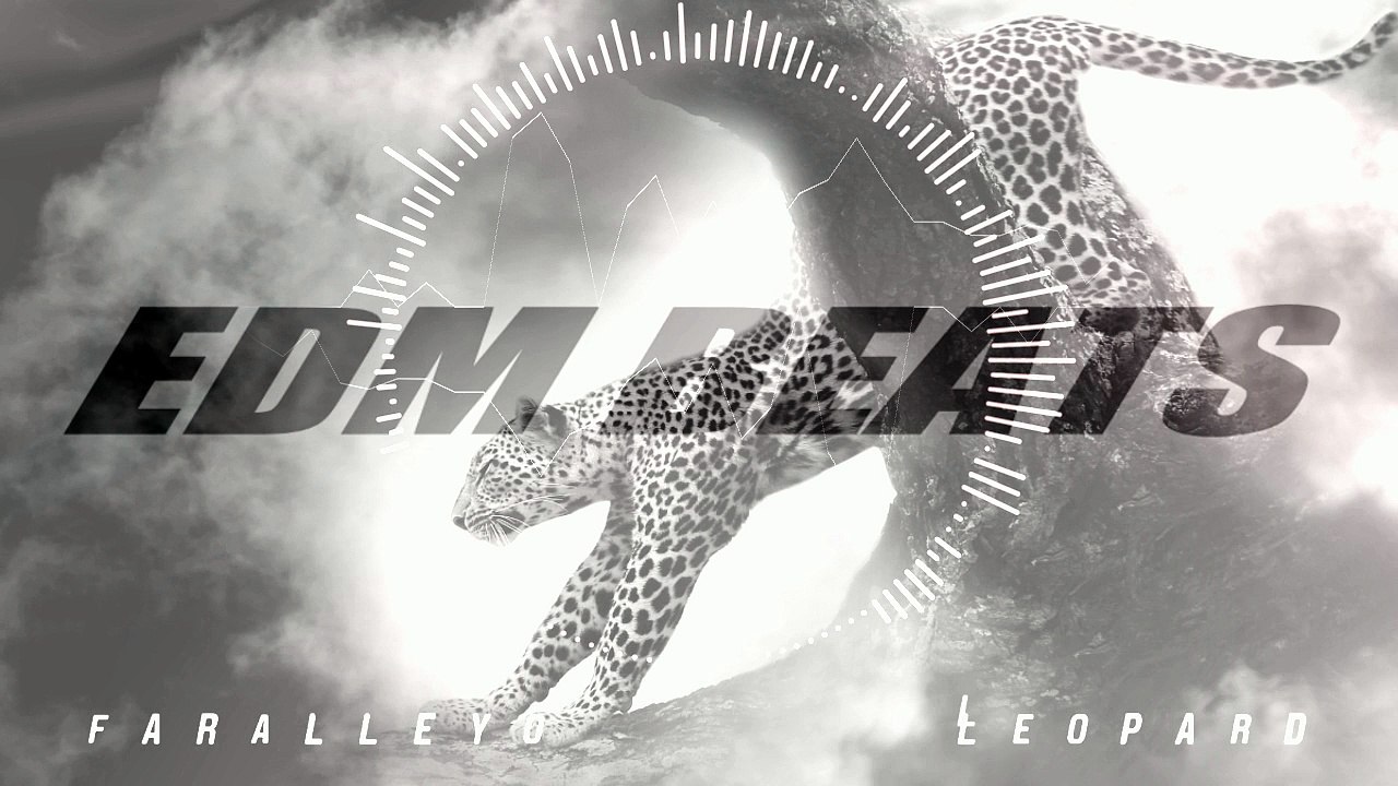 Faralleyo - Leopard