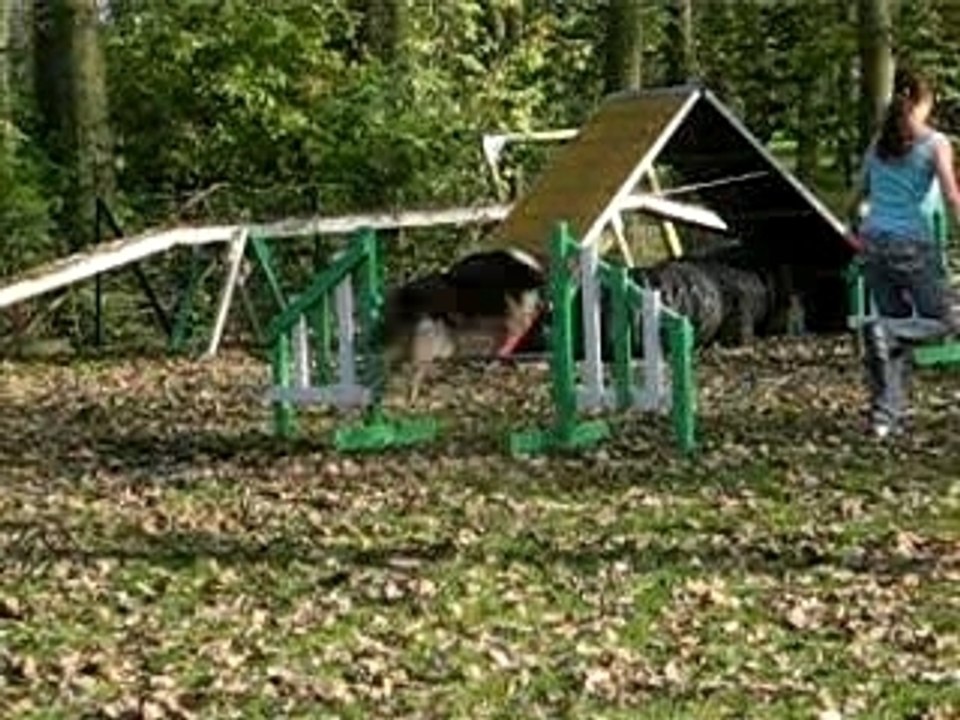 Agility13-10-07 001