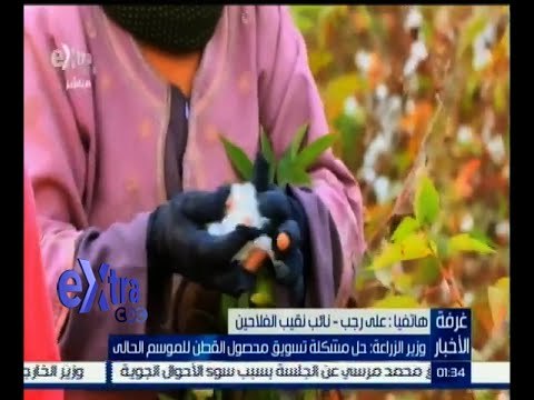 #غرفة_الأخبار | وزير الزراعة : حل مشكلة تسويق محصول القطن للموسم الحالي