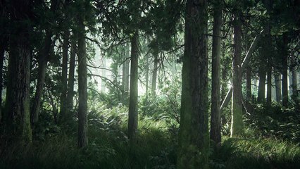 The Last of Us Part II -Trailer - PS4