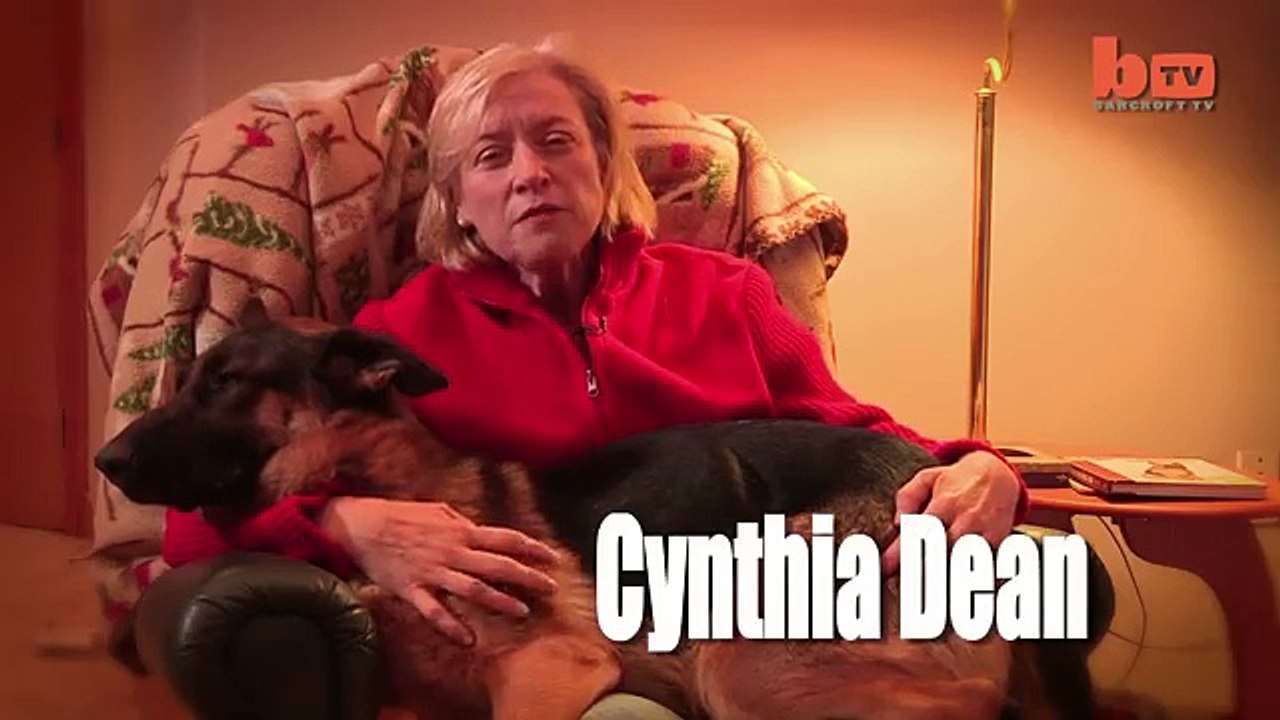 Un homme marche dans la rue avec 6 chiens. Maintenant, regardez bien ce qui se produit lorsqu'il détache ses chiens!