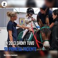 Shoky, El burro que hizo algo maravilloso por una niña