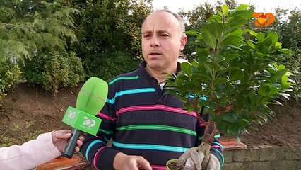 Ne Shtepine Tone, 17 Shkurt 2017, Pjesa 4 - Top Channel Albania - Entertainment Show