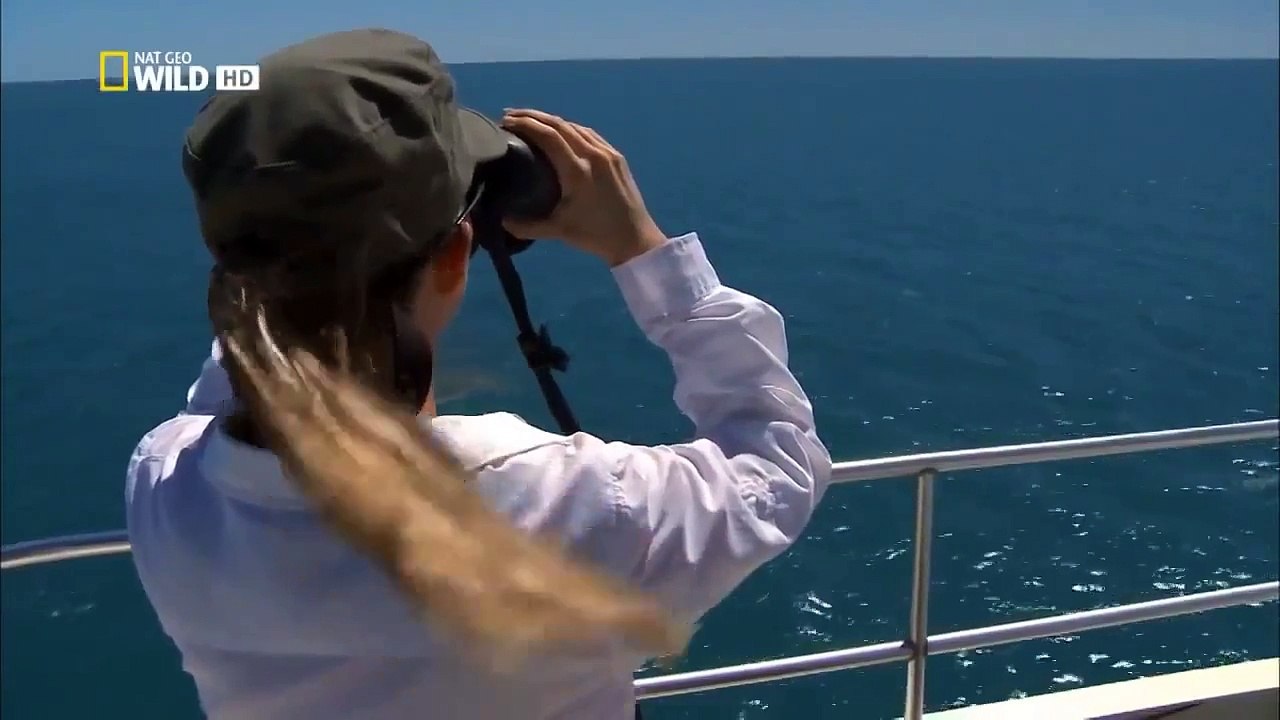 Birthplace of the Giants - Ocean National Geographic Documentary HD