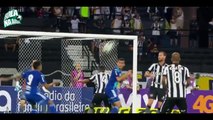 46.Botafogo x Ponte Preta - Gols & Melhores Momentos - Brasileirão 21_05_2017 HD