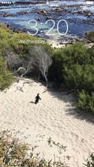 How to capture an intimate moment on iPhone 7 Plus — Apple