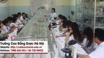 Việc làm nganh y dươc, tuyên sinh cao đăng , cao đăng dược hệ chính quy,